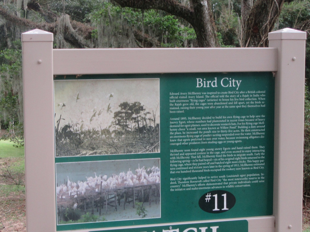Bird City景点图片