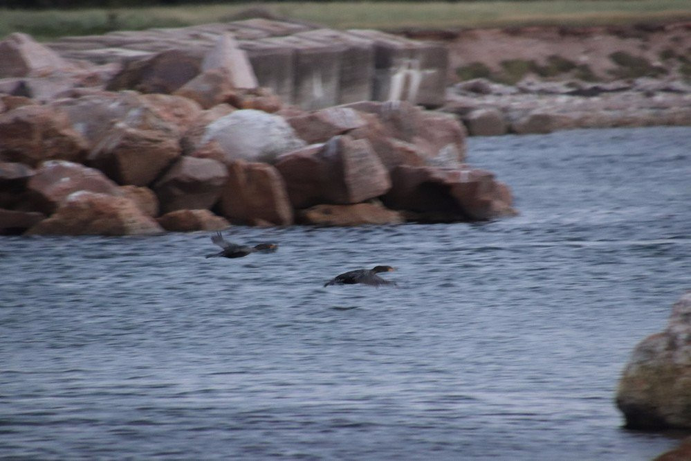 Dingwall Beach-Dingwall必去景点