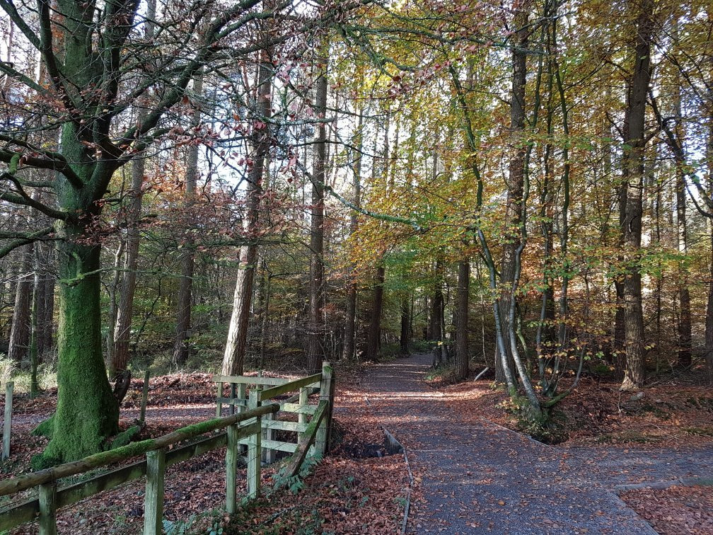 Eskrigg Nature Reserve景点图片