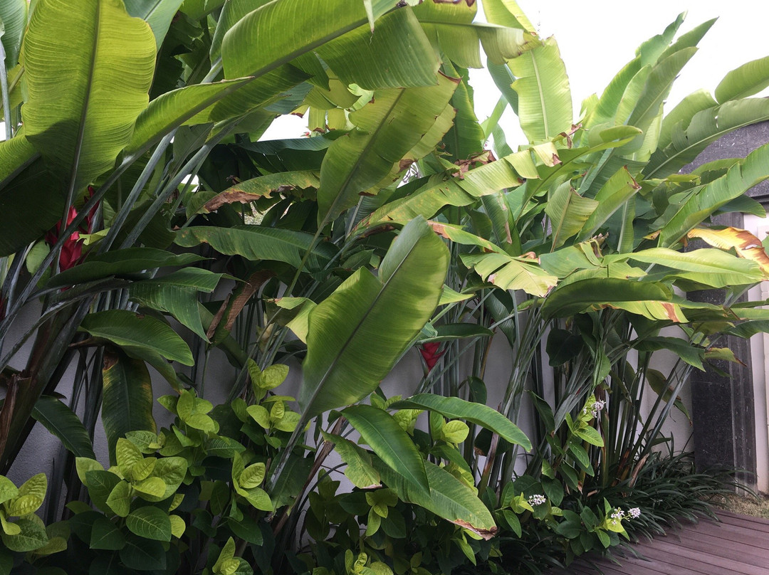 巴厘蓝梦岛沙滩俱乐部别墅度假村主图