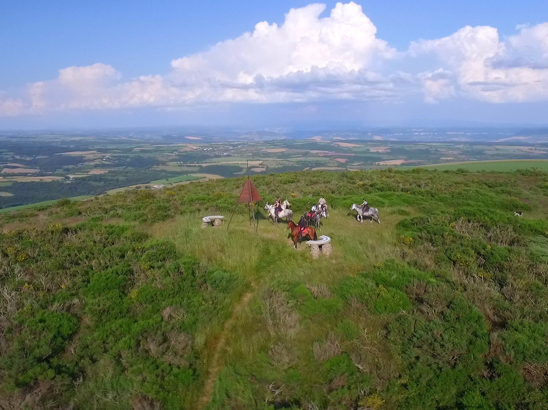 Office de tourisme de Pareloup-Lévézou-Pont de Salars必去景点