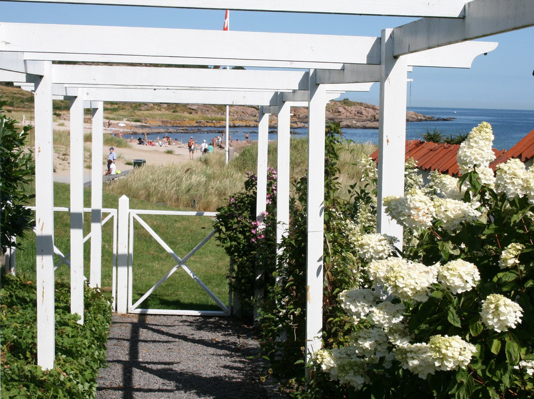 Strandgaarden Apartments Bornholm主图