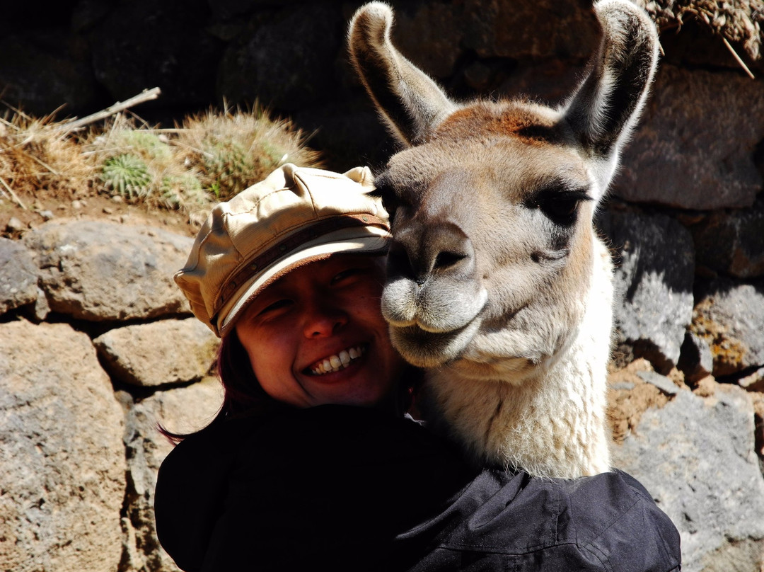 Geographic Experiences-普诺大区必去景点