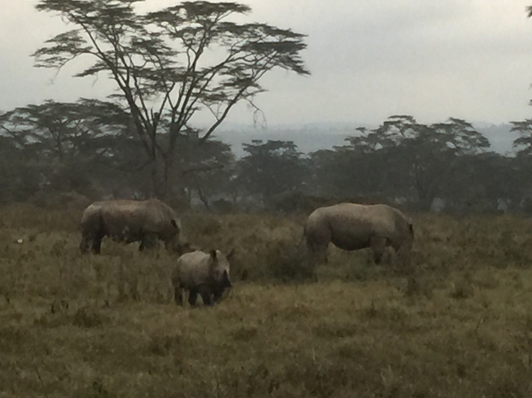 Thiga Safaris-Naro Moru必去景点