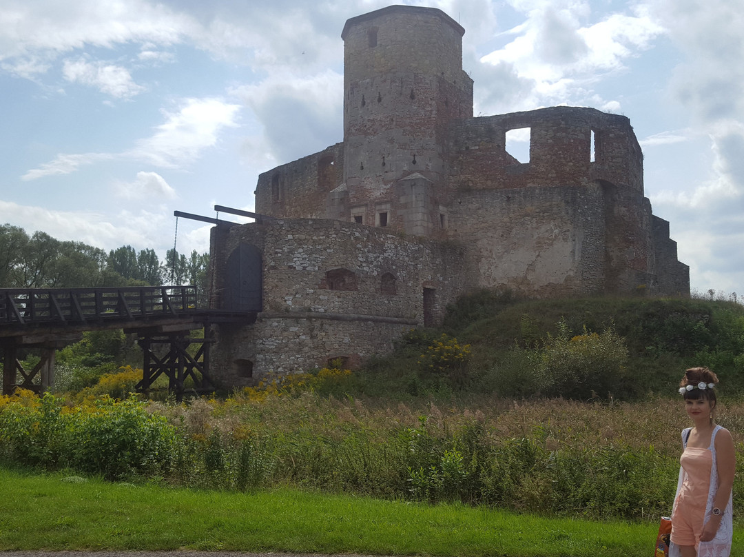 Castle of Siewierz景点图片