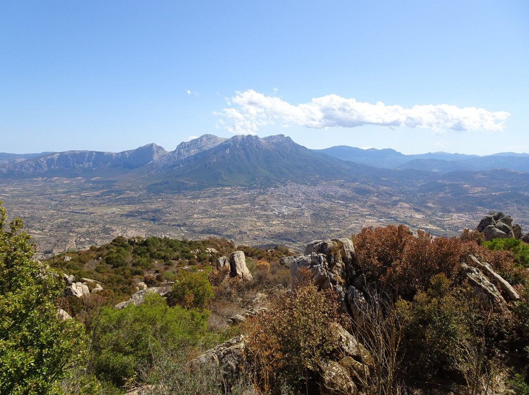 Monte Ortobene景点图片