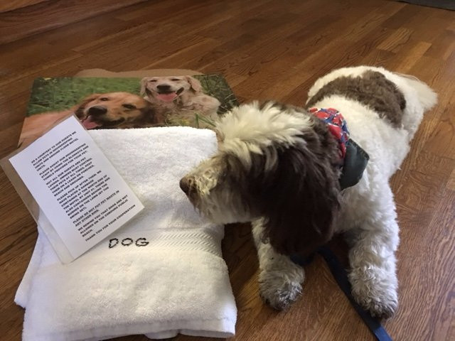 Breakers on the Lake主图