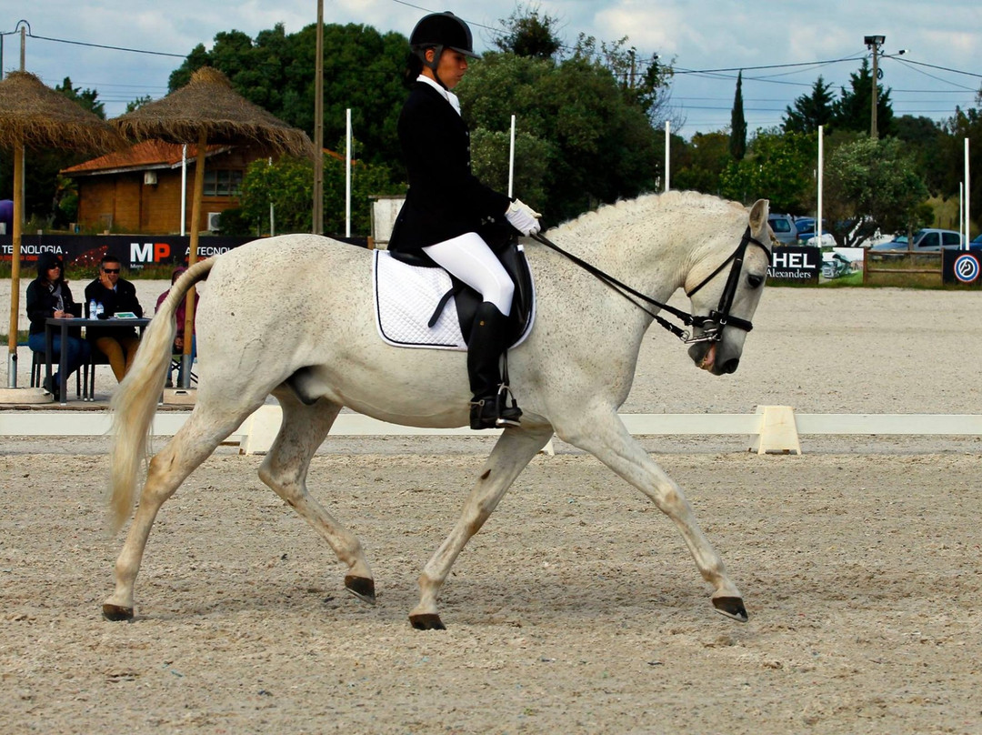 Tavira Horse Riding Quinta Beldade Stables-塔维拉必去景点