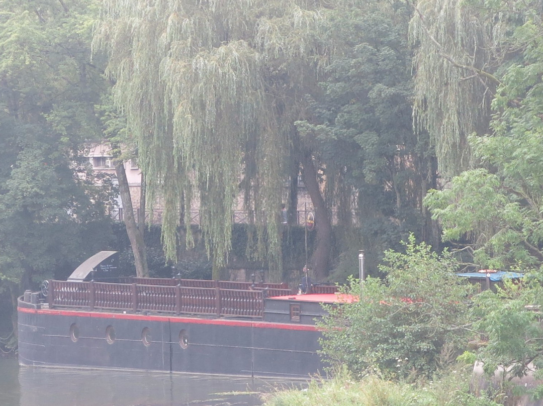 Parc de l'ile du Vieux Moulin景点图片