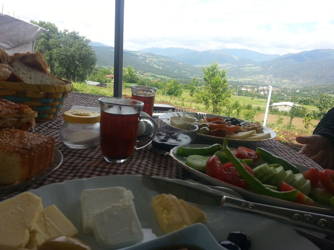 Yedigoller Tarlabasi Aile Pansiyonu