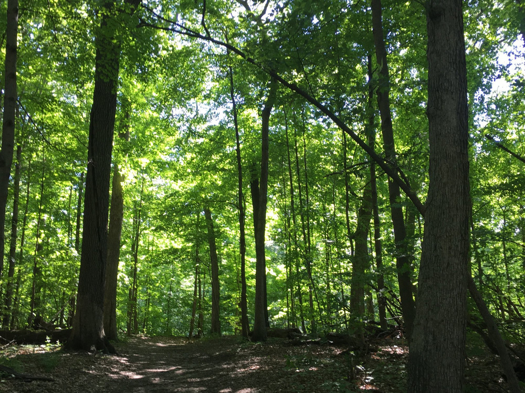 Deep River County Park-霍巴特必去景点