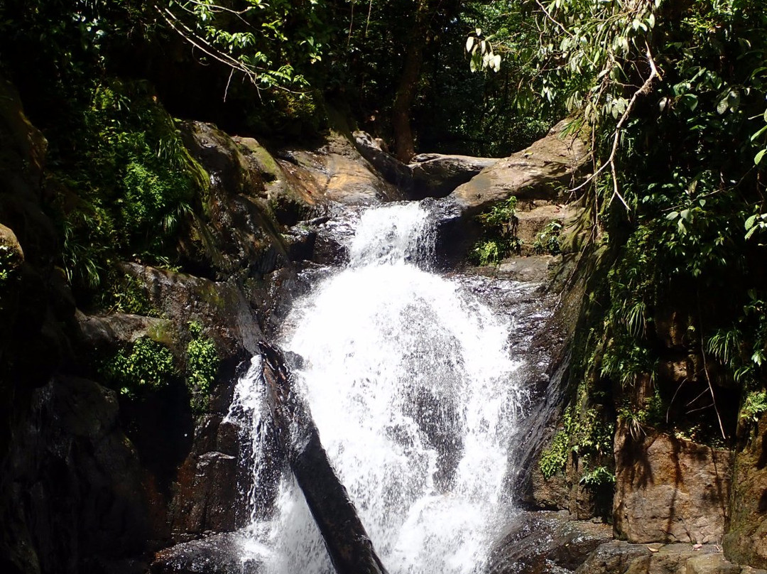 Garden Of Eden Valley Walk-姆鲁国家公园必去景点