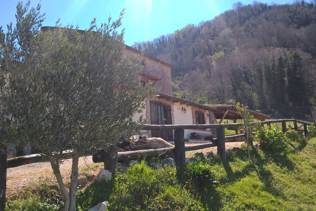 Lago旅游攻略图片