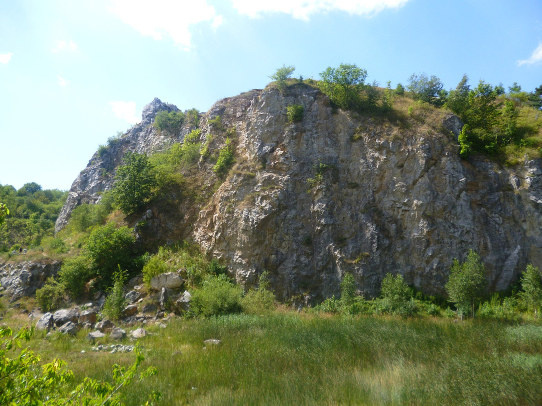 Jaskinie Na Kadzielni景点图片