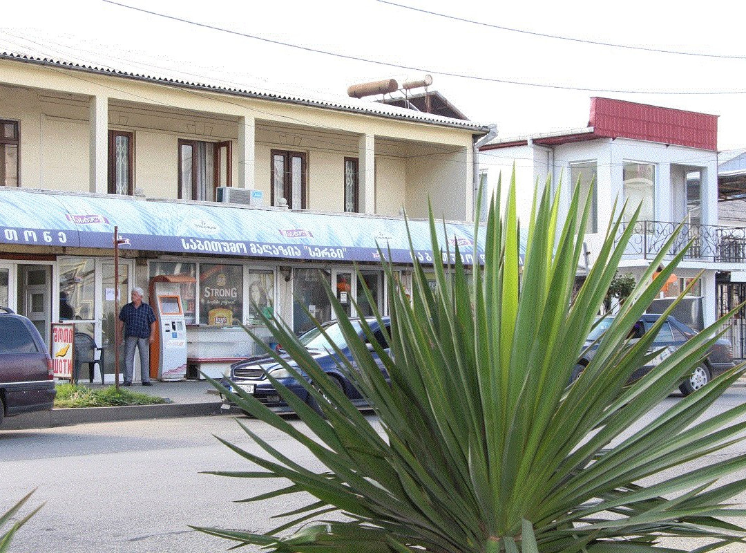Nakaidzeebi酒店住宿-Guest House Gelodi