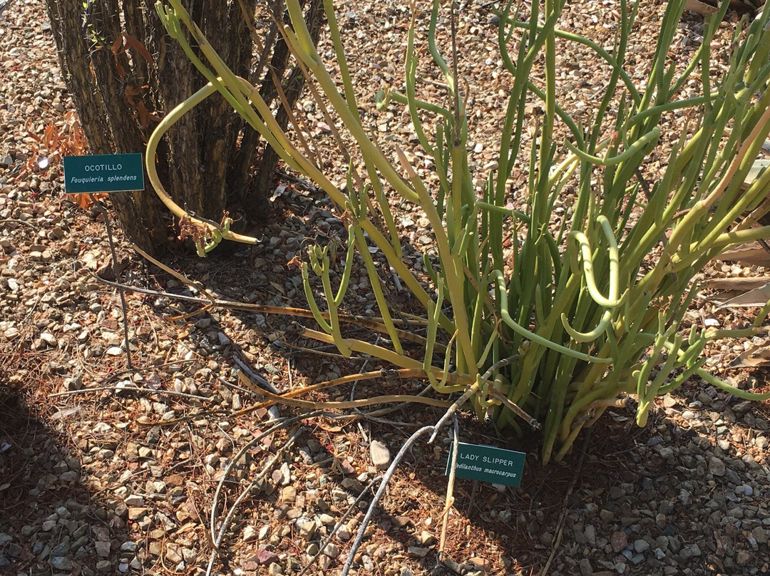 Barry Goldwater Park-天堂谷必去景点