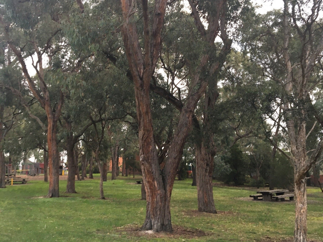 Antonio Park-Mitcham必去景点