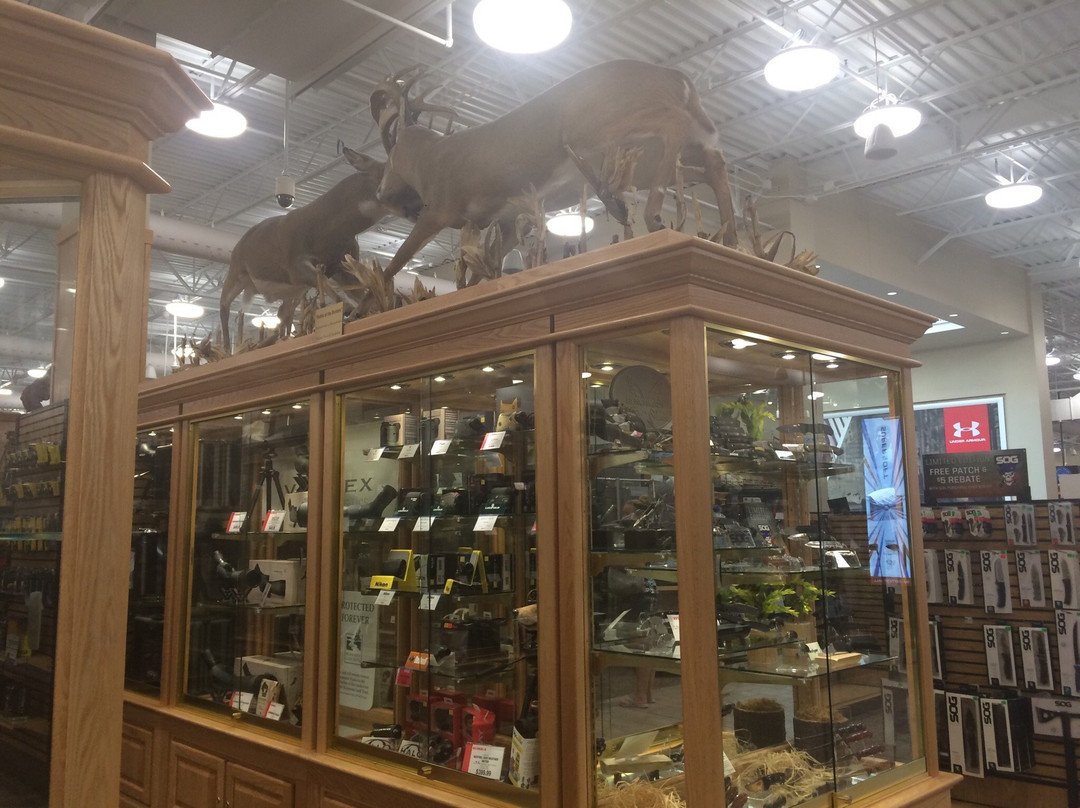 Apache Mall-罗切斯特必去景点