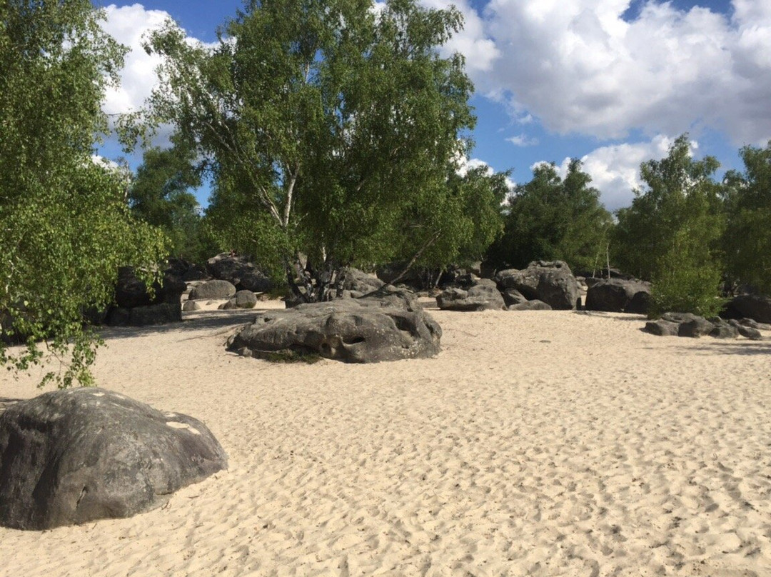 Noisy-sur-Ecole旅游攻略图片