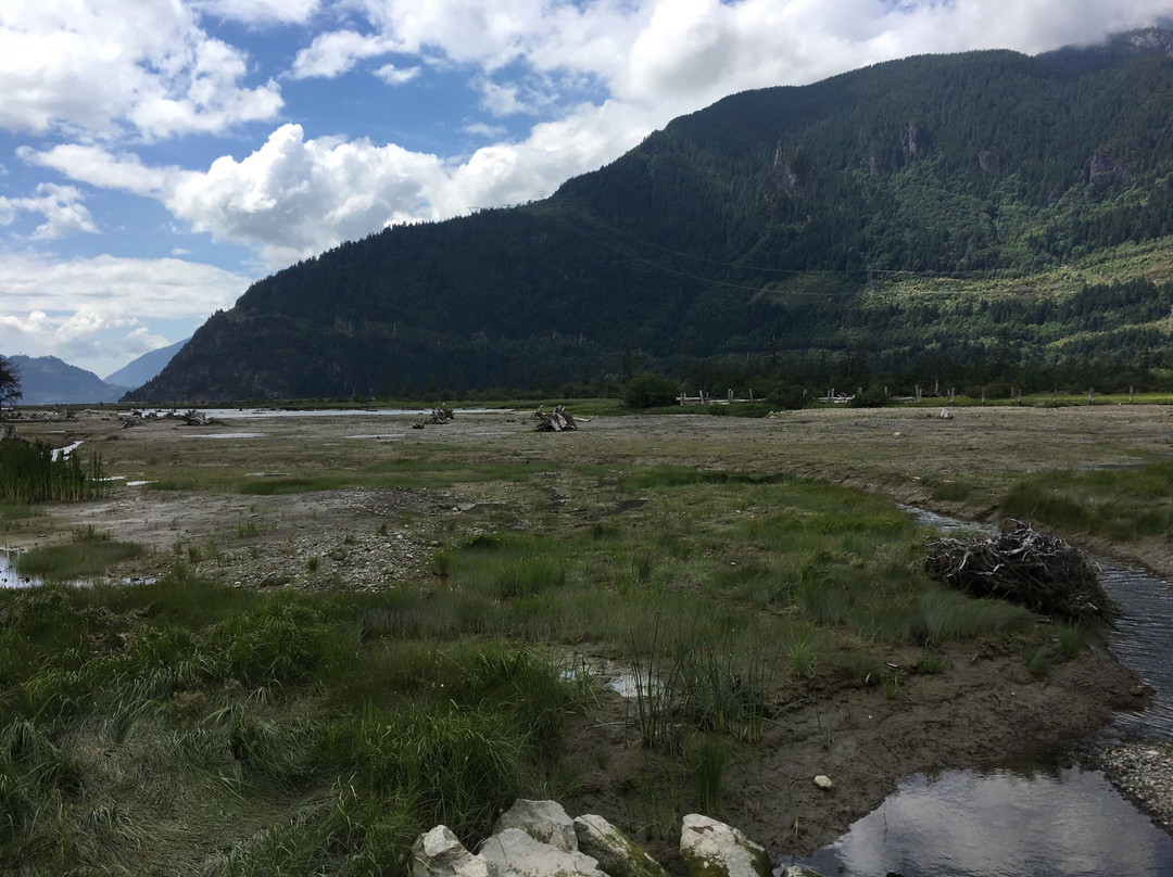 Squamish Estuary景点图片
