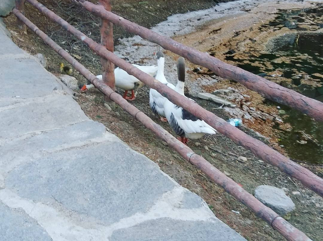 Mesir Tabiat Parki-Manisa必去景点