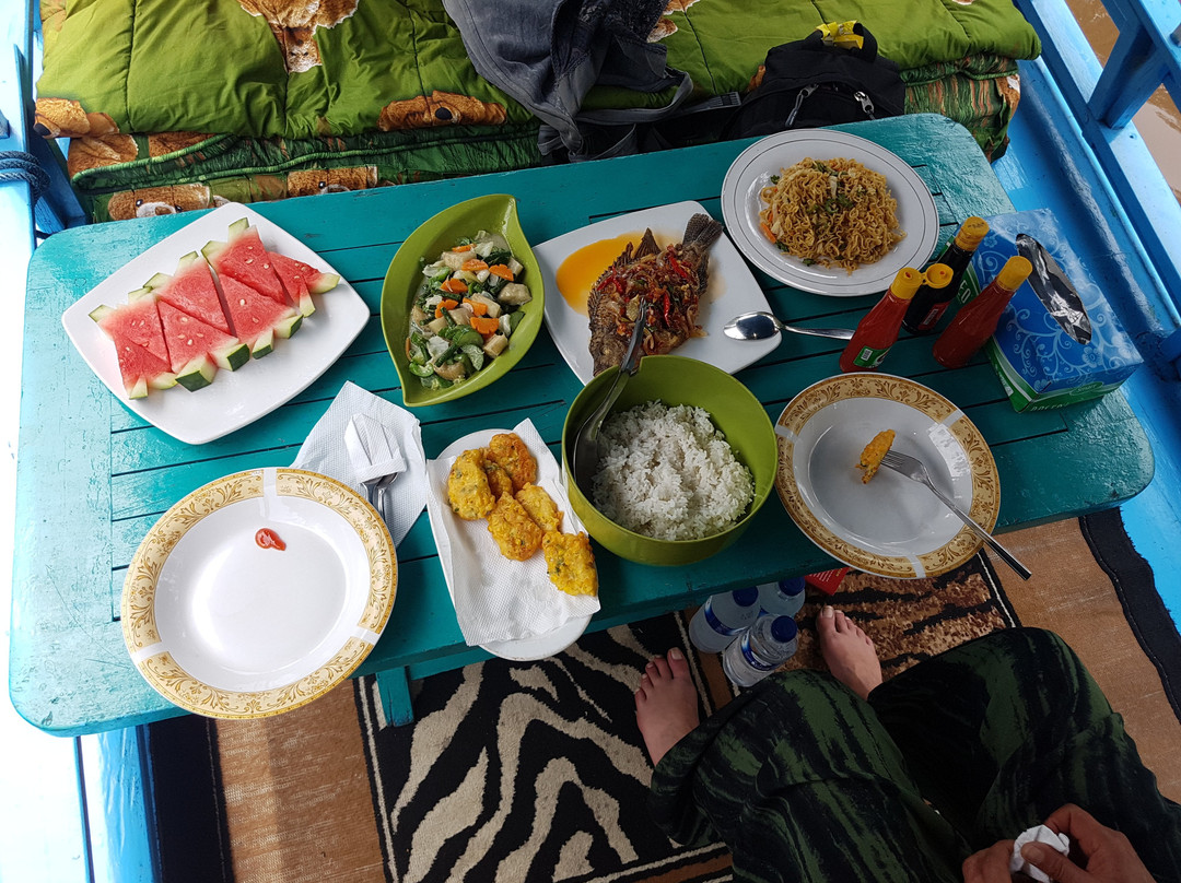 Wild Orangutan Tours - Day Tours-Pangkalan Bun必去景点