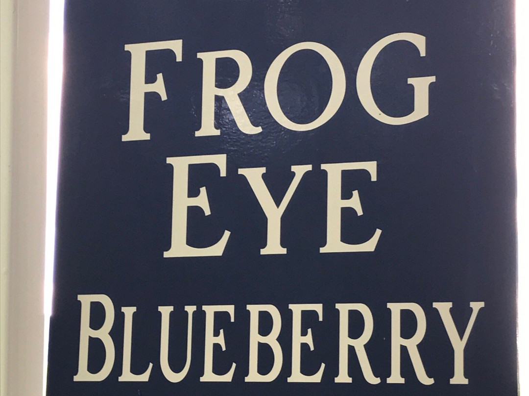 Frog Eye Farm景点图片