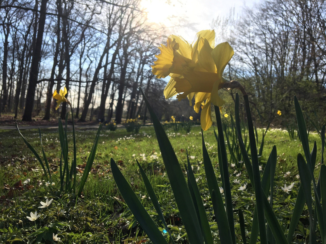 Fredenbaumpark-多特蒙德必去景点