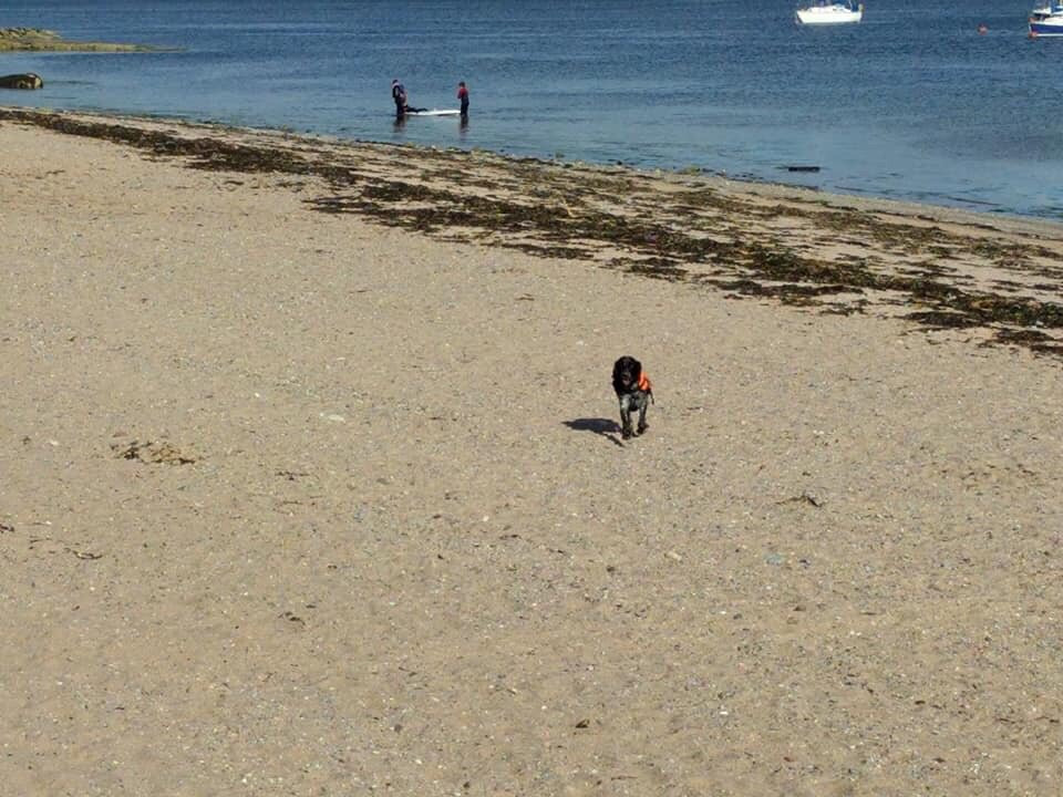 Newton Beach景点图片