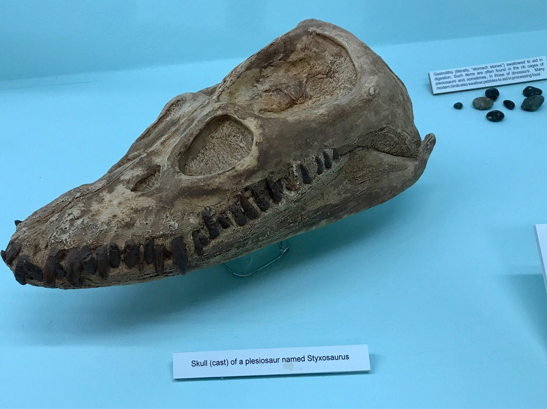 Blaine County Museum-Chinook必去景点