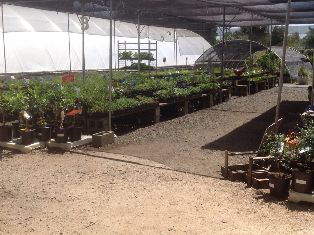 Morningsun Herb Farm-瓦卡维尔必去景点