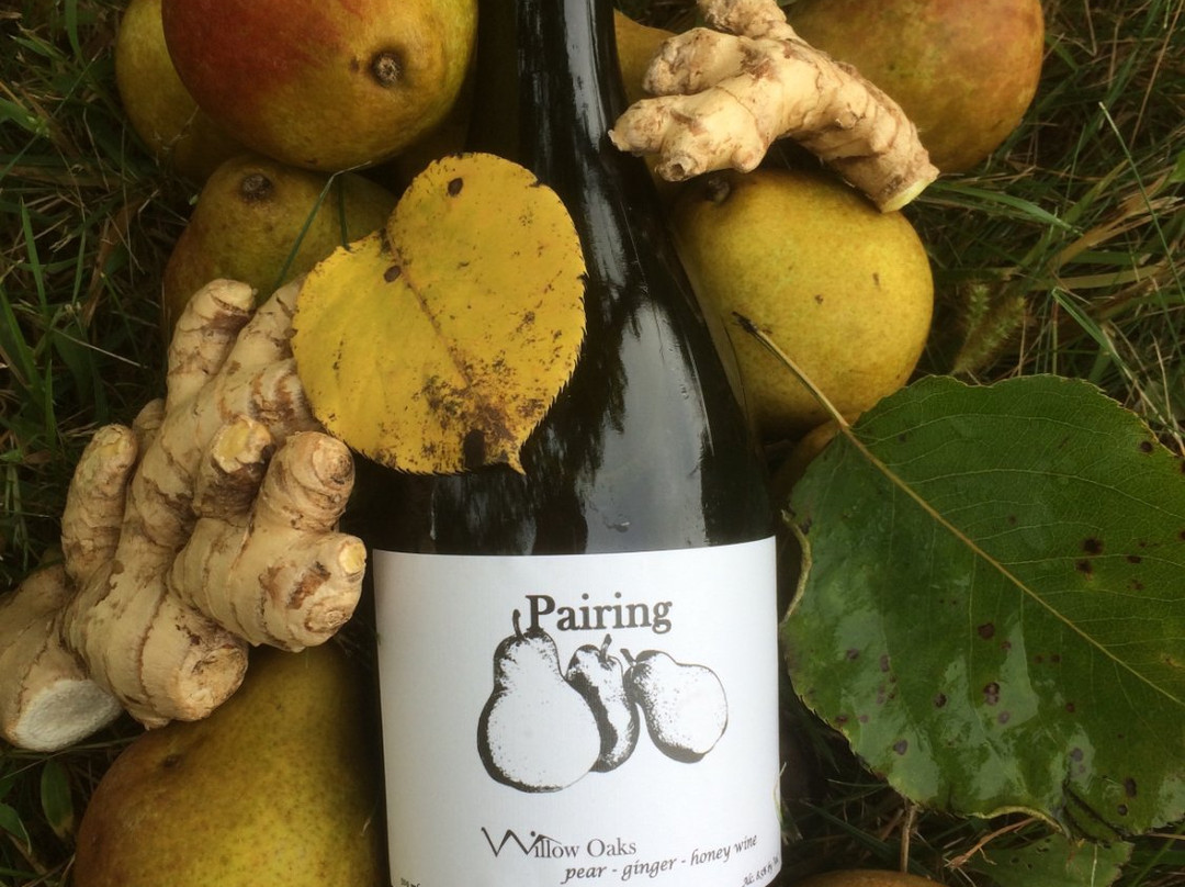 Willow Oaks-Middletown必去景点