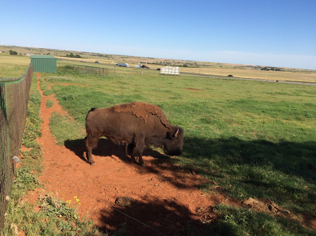 Cherokee Trading Post-Clinton必去景点