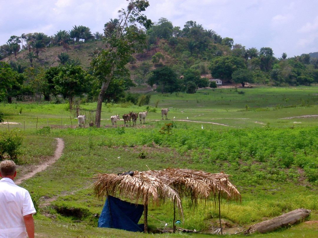 Serra da Valeria-Parintins必去景点