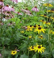 Lavender Moon Herb Gardens-Honeoye Falls必去景点