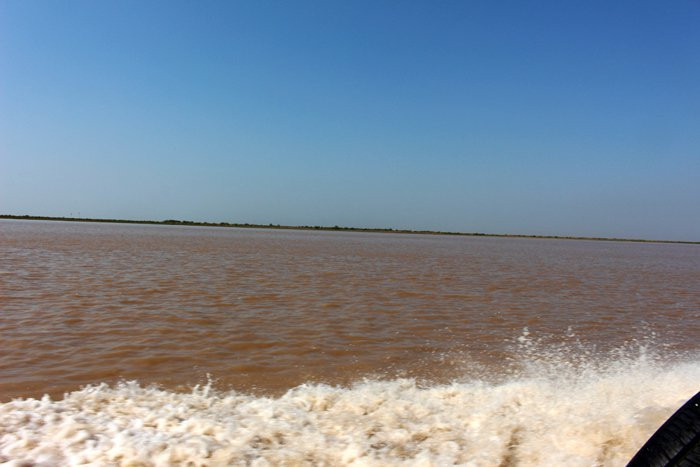 黄河入海口-东营市必去景点