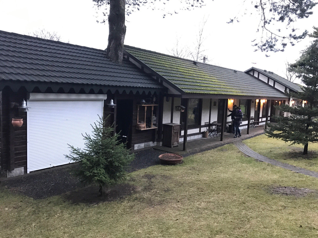 Guest House Pskov主图