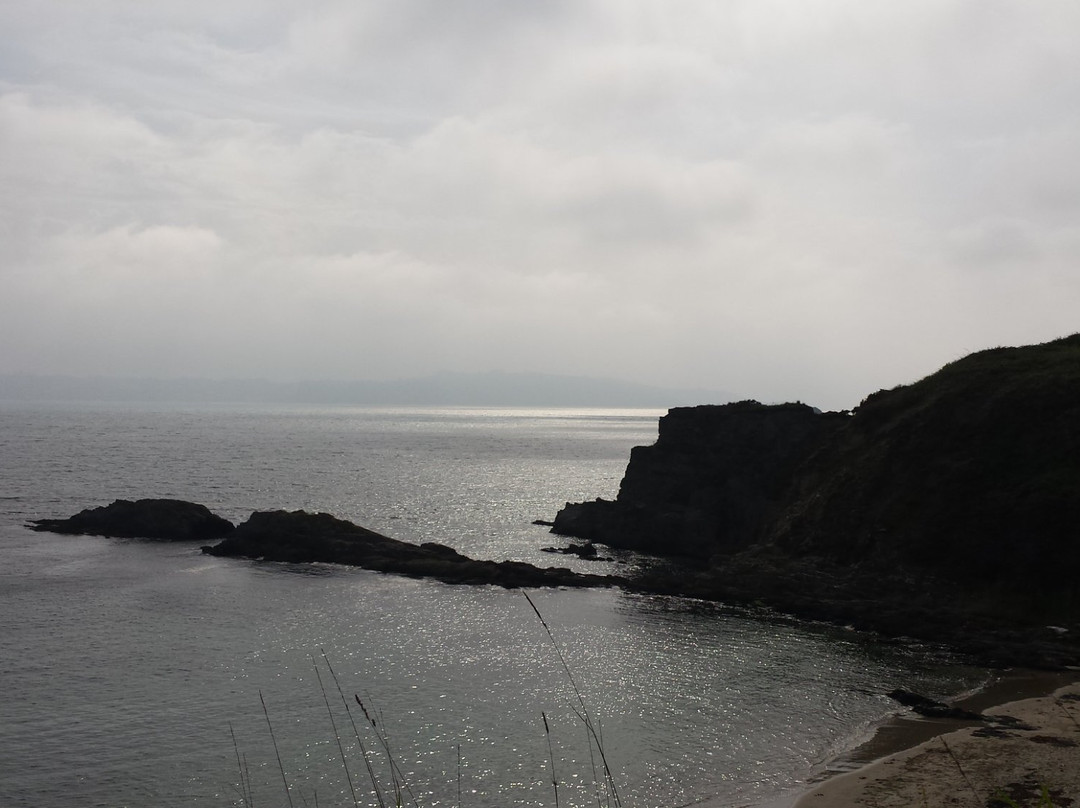 Playa de Estacas景点图片