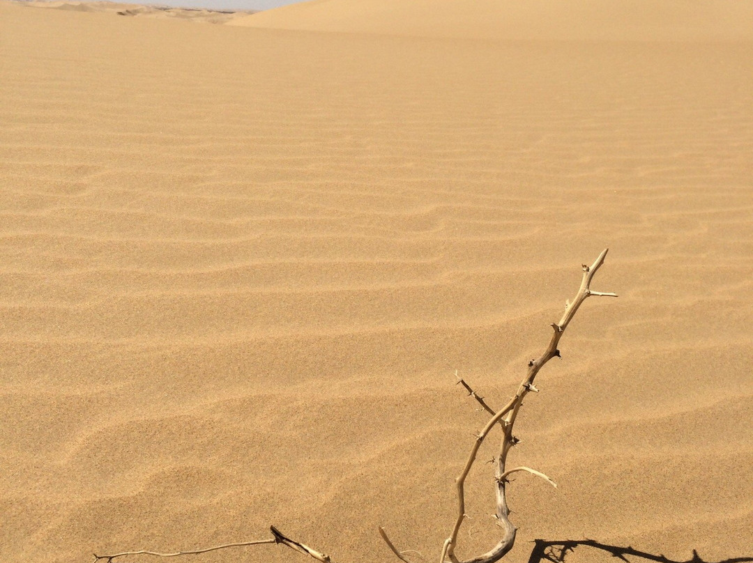 康巴什旅游区-鄂尔多斯市必去景点