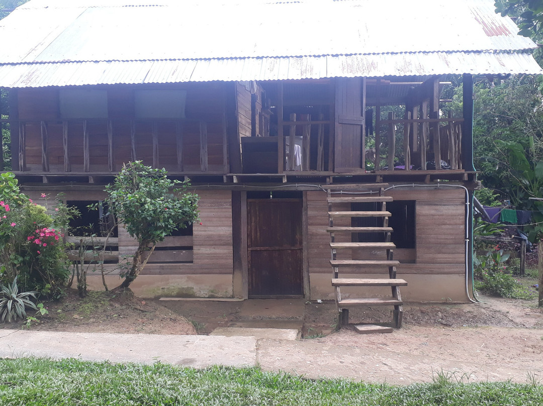 Amacayacu Lodge