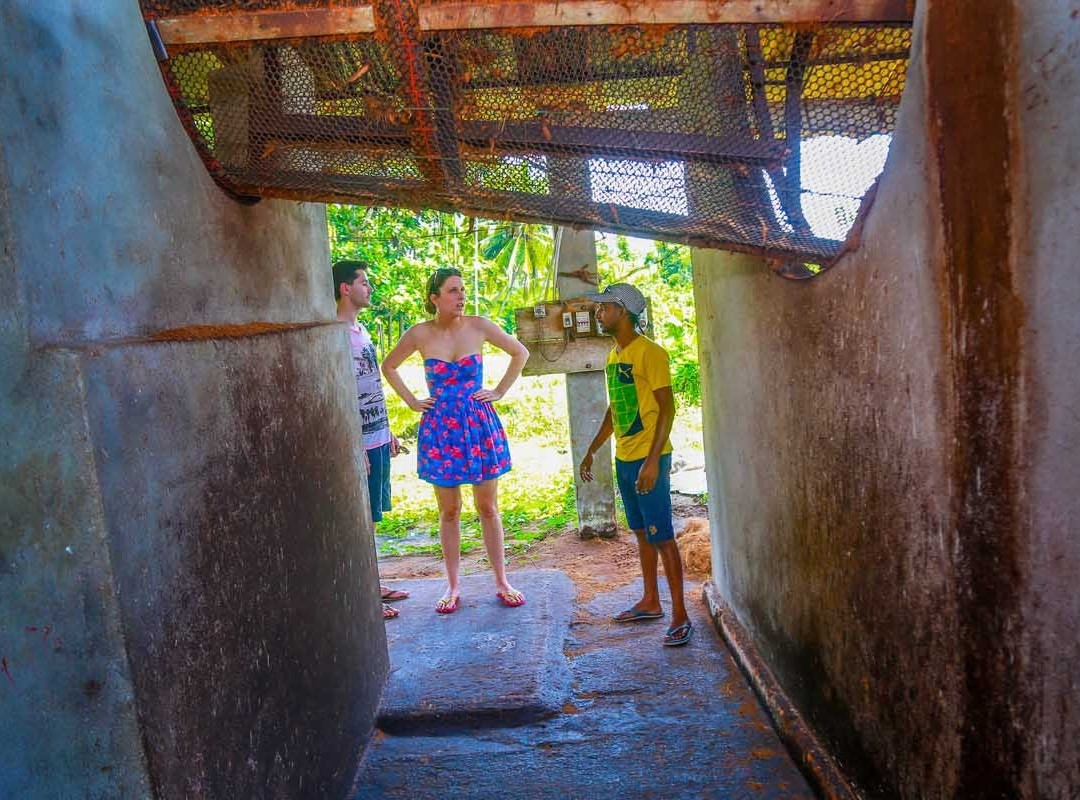 VTS Lanka Tour-班托塔必去景点