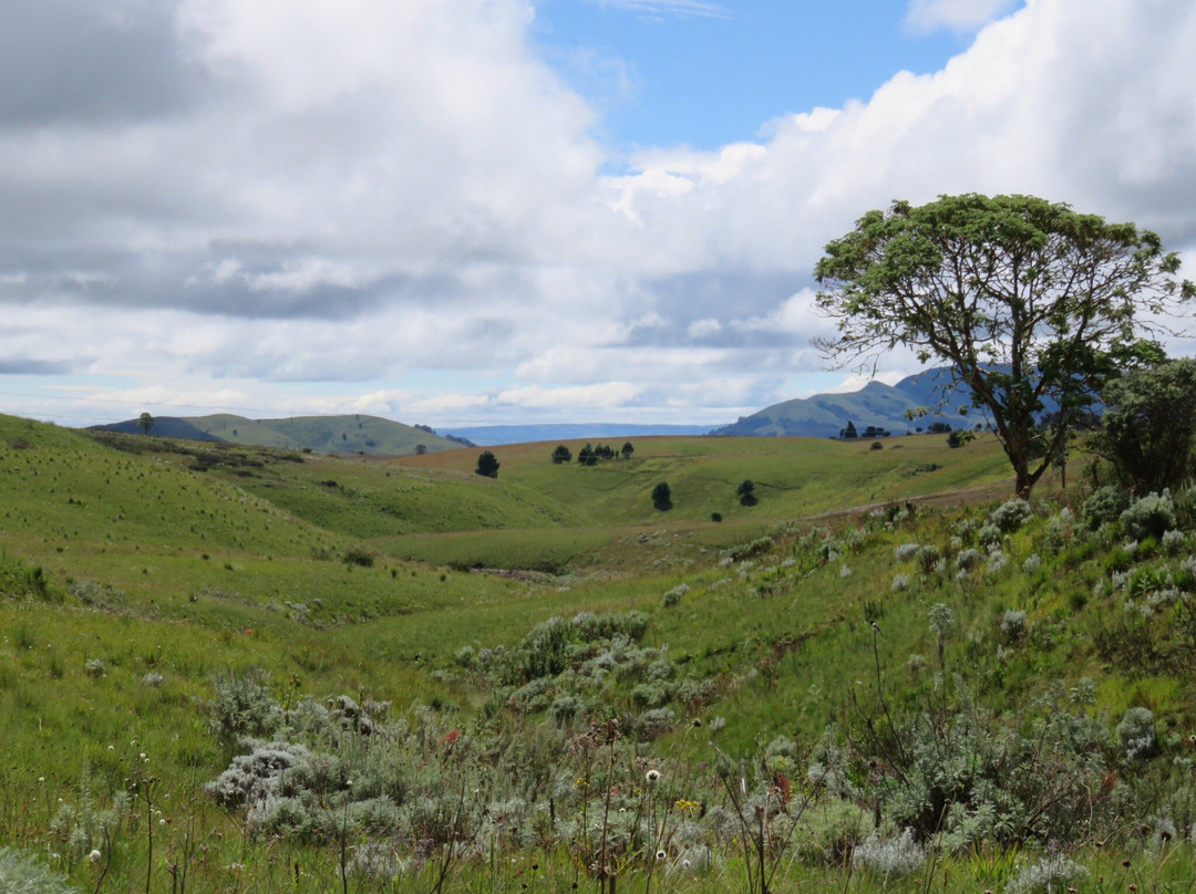 Kitulo National Park-Makete必去景点