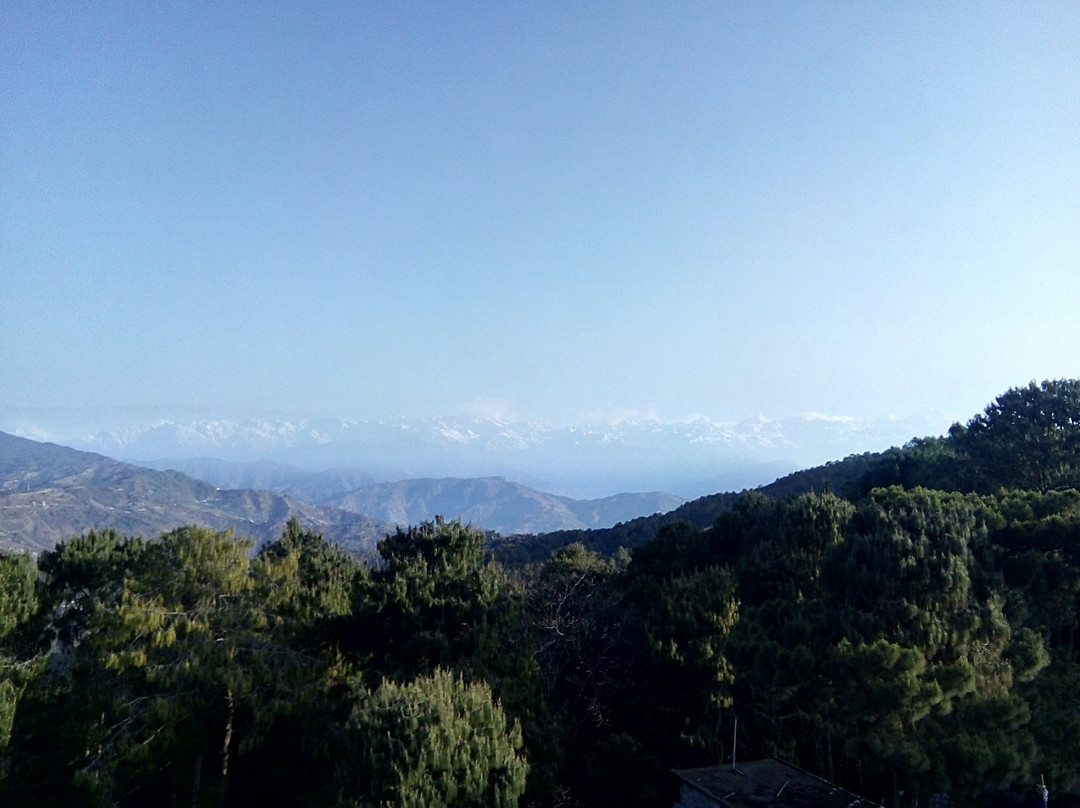 Hotel Mari Gold主图