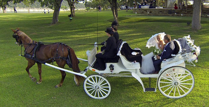 Fantasia Carriage-Lago Vista必去景点