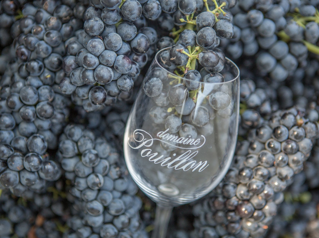 Domaine Pouillon景点图片