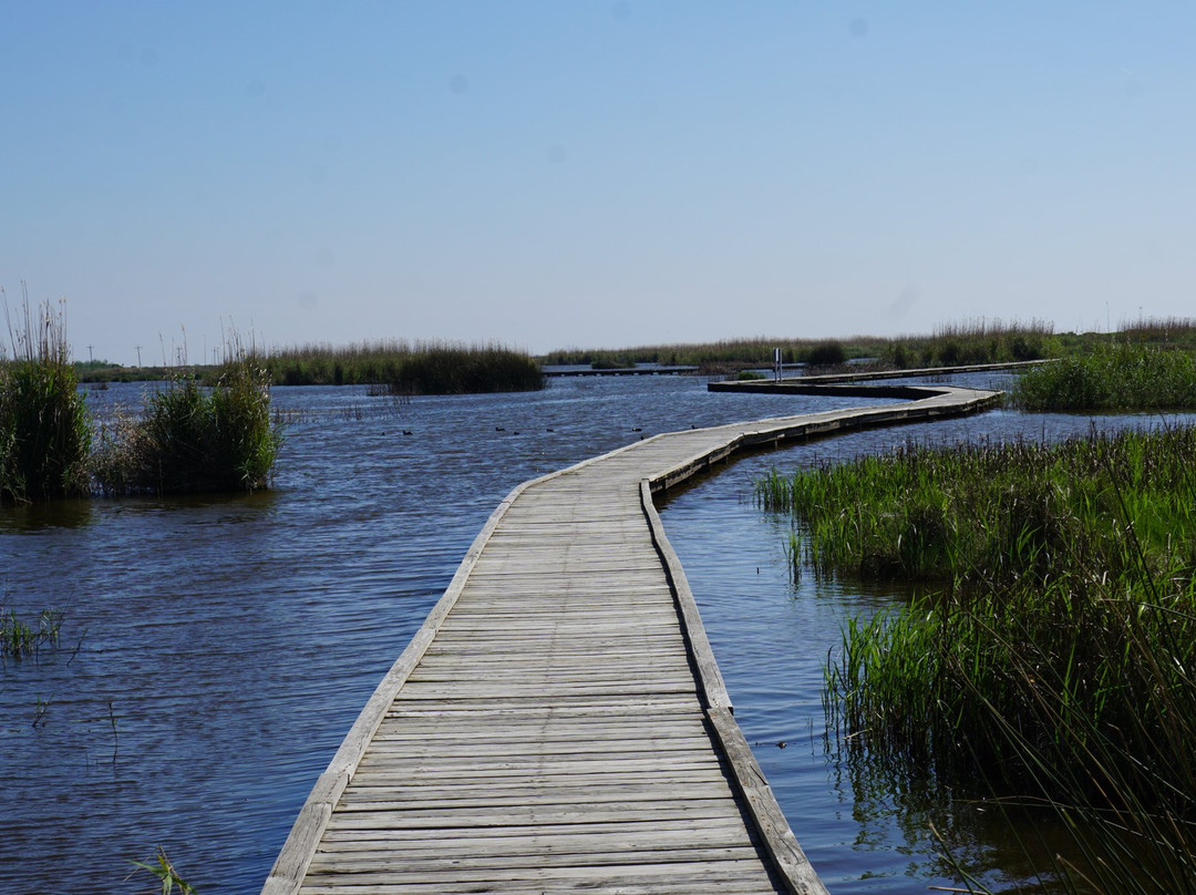 Port Arthur旅游攻略图片