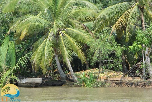 Lan Thanh tours-Ben Tre必去景点