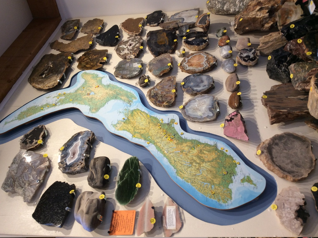 Gemstone & Fossil Museum景点图片