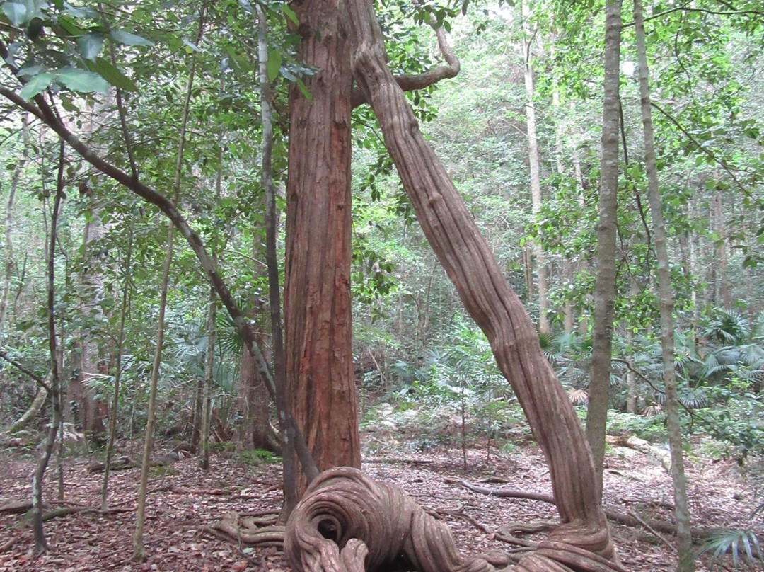 Macquarie Pass National Park景点图片