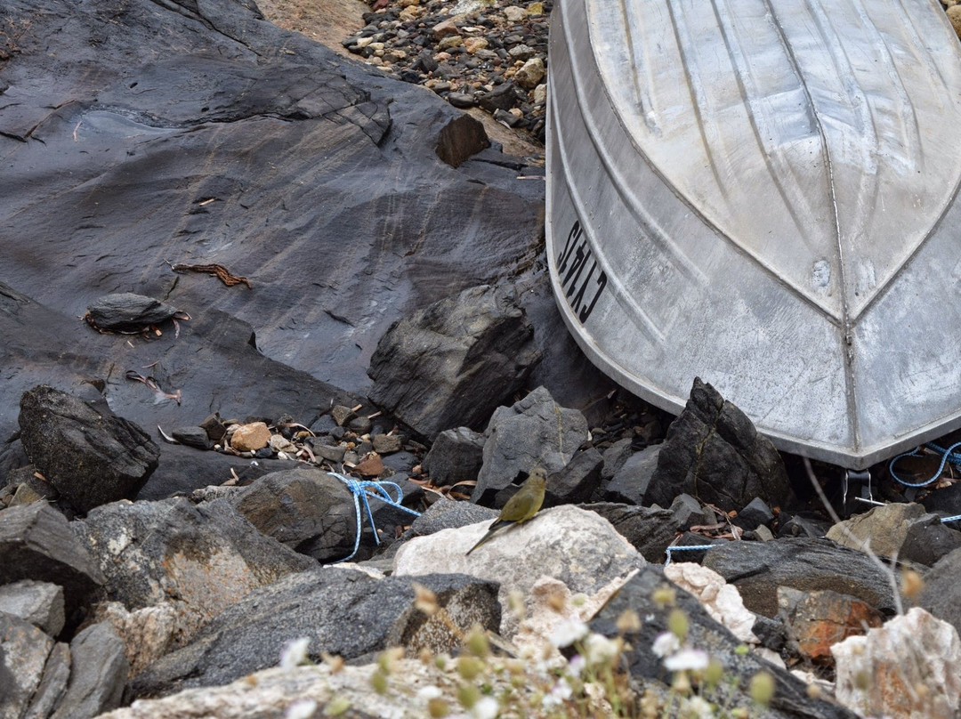 Parnkalla Walking Trail-Port Lincoln必去景点